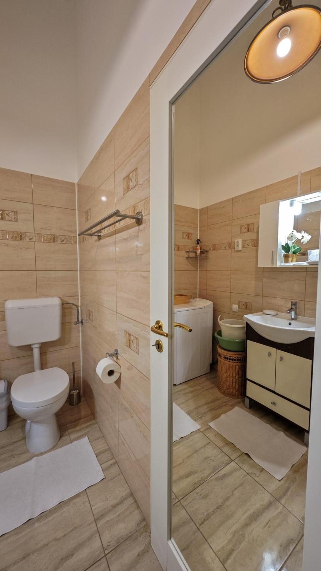 Neuhausz Residenz Ultra-Central Apartment Timişoara Buitenkant foto