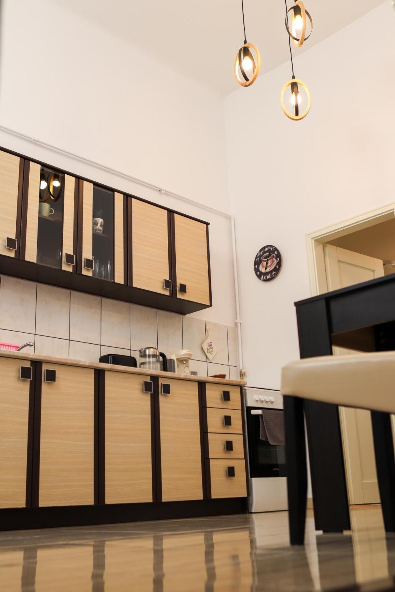 Neuhausz Residenz Ultra-Central Apartment Timişoara Buitenkant foto